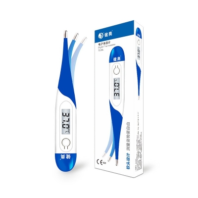 电子体温计：精准测温，守护健康
